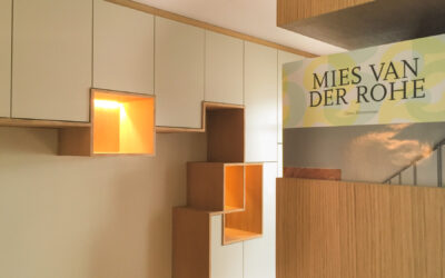 Cabinet de curiosité